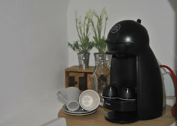 Bayleaf - Casa D'avo * فونشال